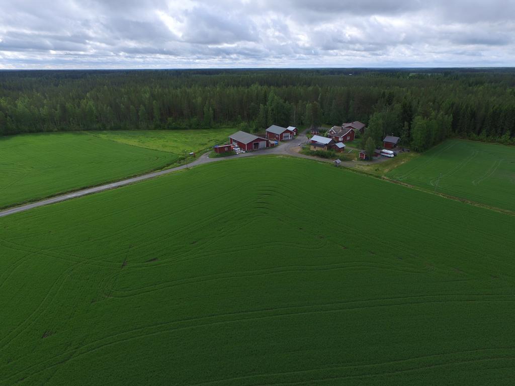 Maatilamatkailu Ilomaeki Seinäjoki Exterior foto