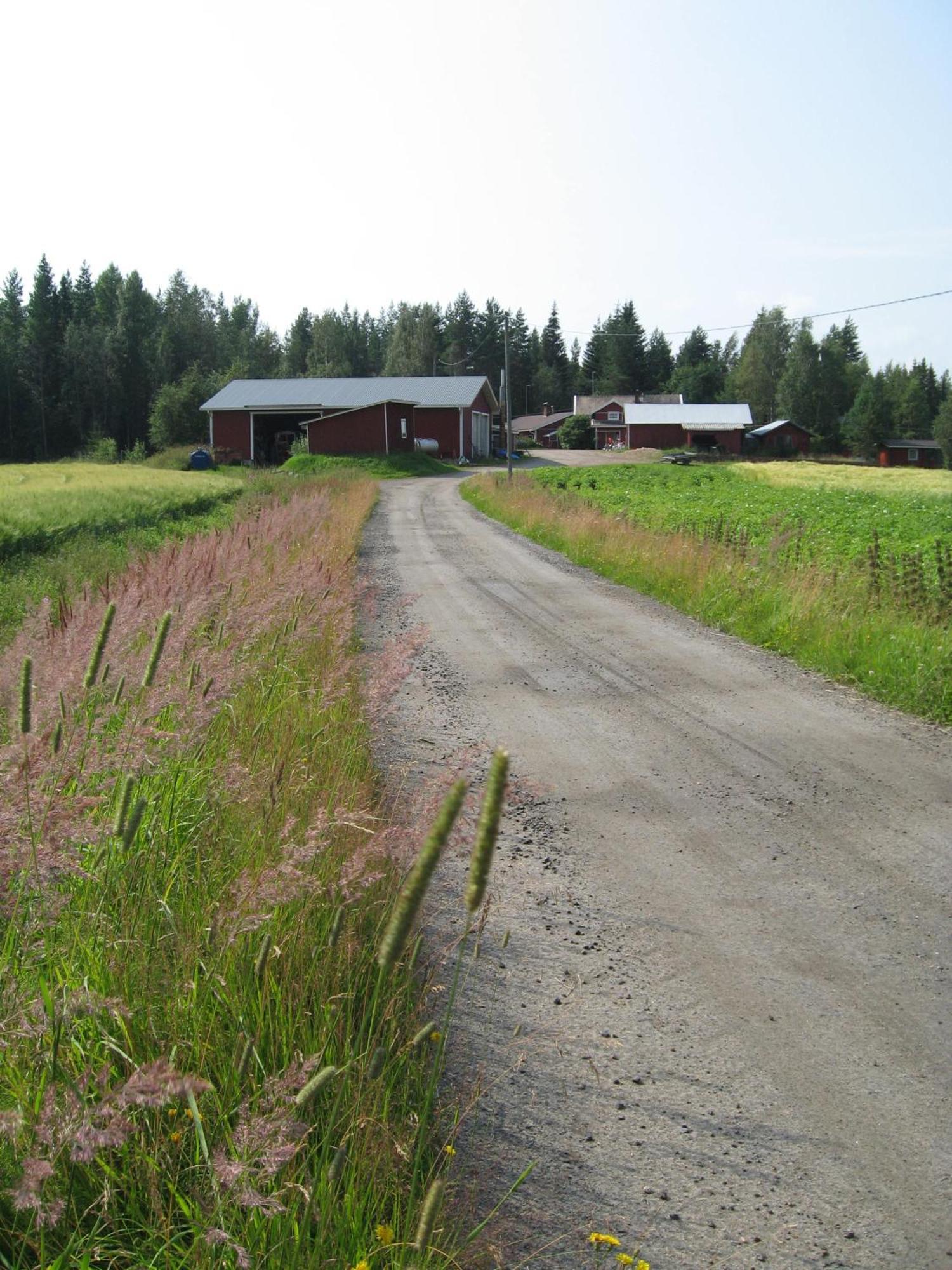 Maatilamatkailu Ilomaeki Seinäjoki Exterior foto