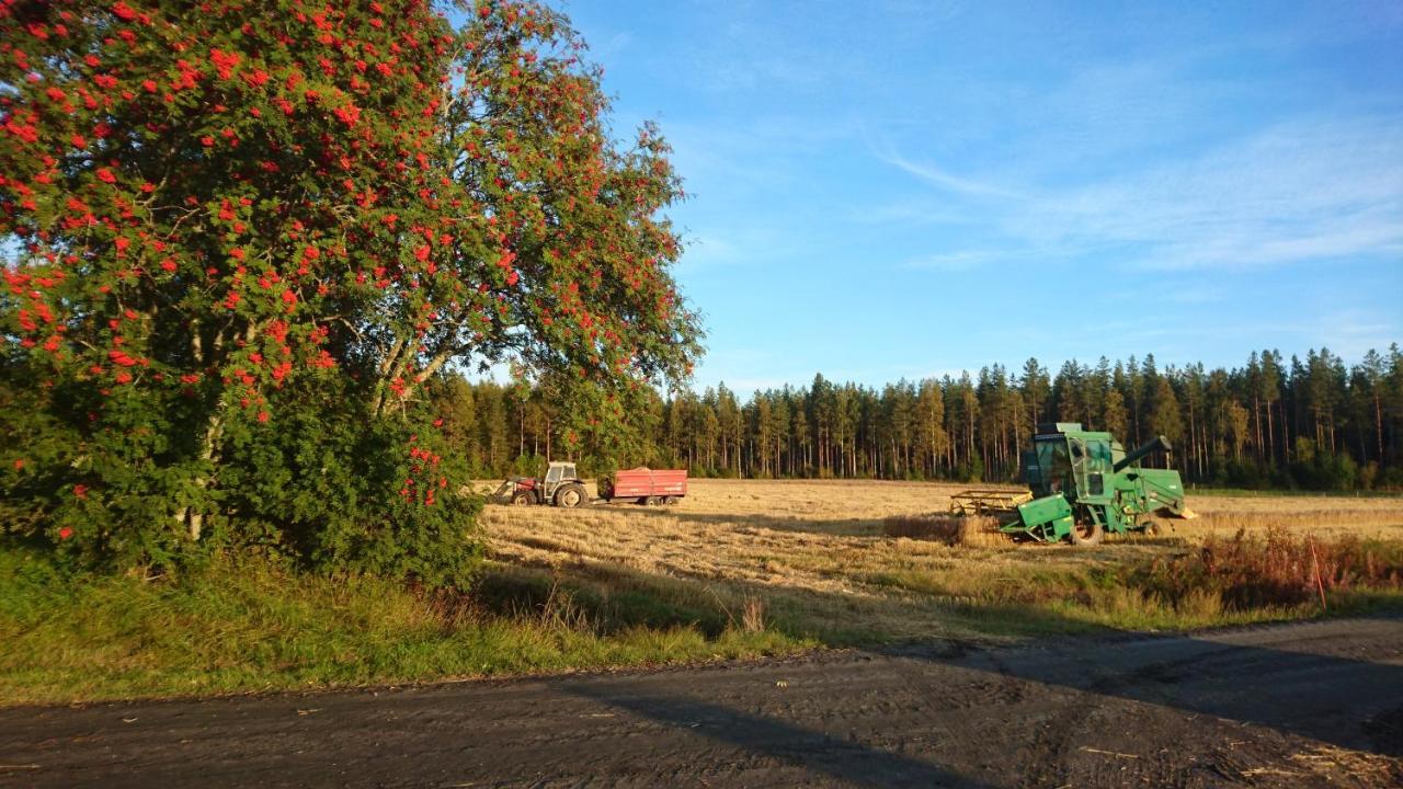 Maatilamatkailu Ilomaeki Seinäjoki Exterior foto