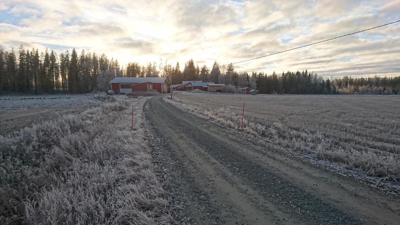 Maatilamatkailu Ilomaeki Seinäjoki Exterior foto