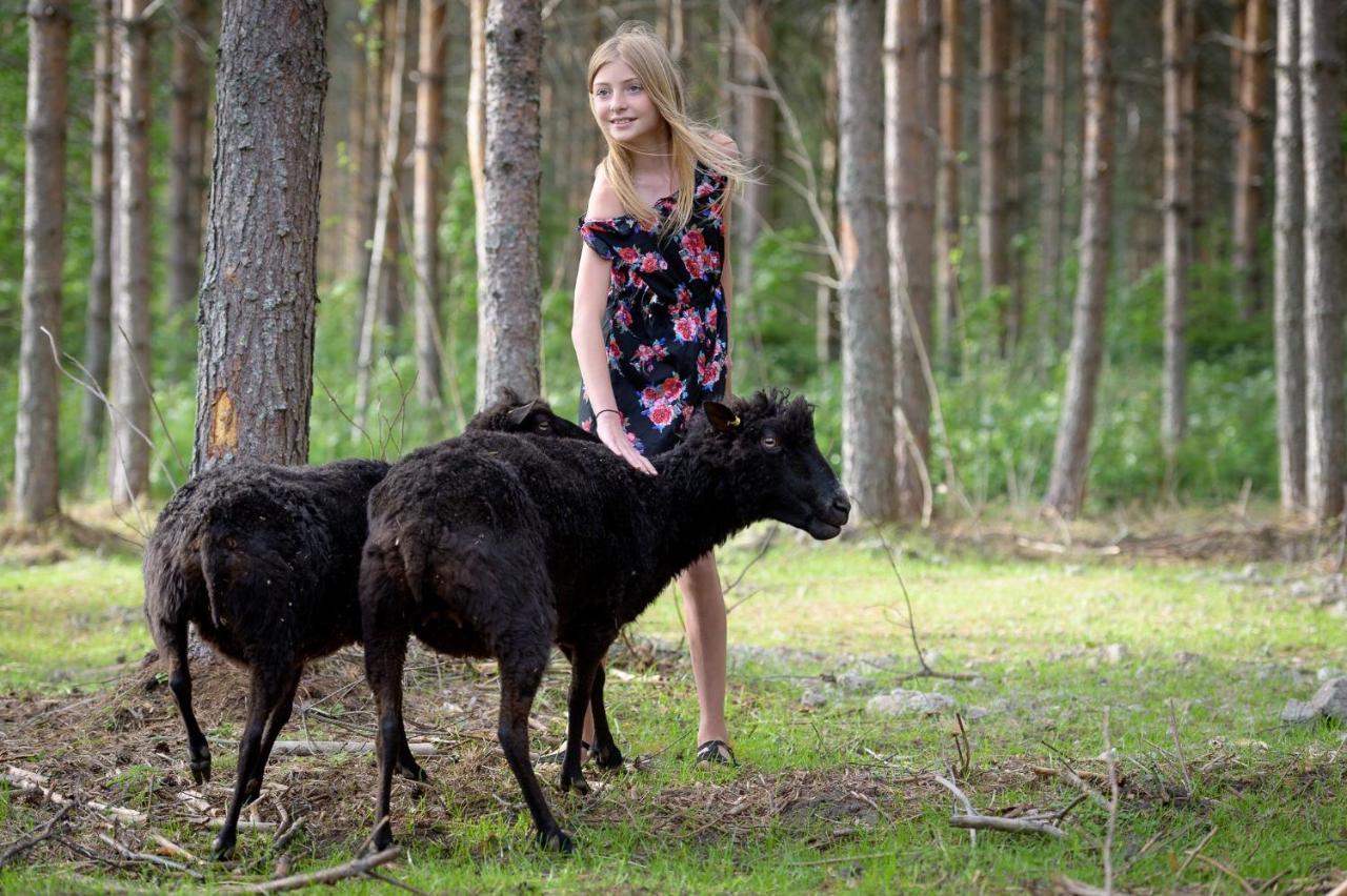 Maatilamatkailu Ilomaeki Seinäjoki Exterior foto